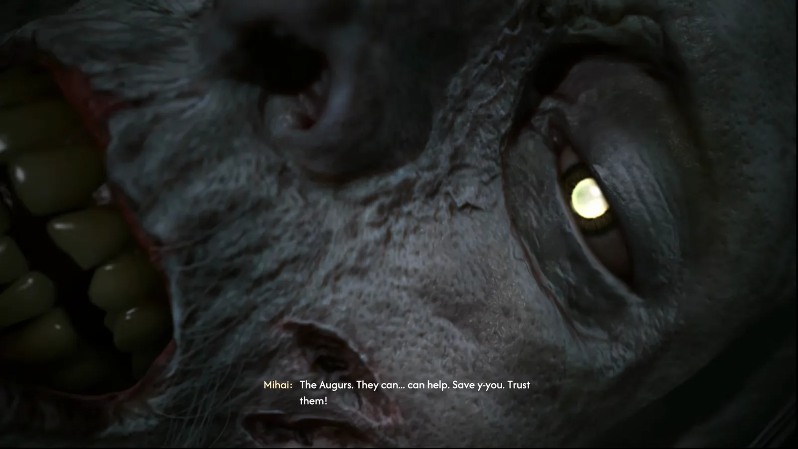 Extreme close-up of Mihai's glowing gold eye in The Blood of Dawnwalker with the subtitle The Augurs they can can help save you trust them